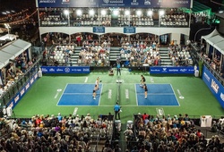 Việt Nam và châu Á lập kỷ lục về số VĐV tham dự tại Pickleball World Championships 2025