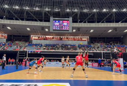 NEC Red Rockets và Himeji bứt phá tại giải bóng chuyền VĐQG Nhật Bản