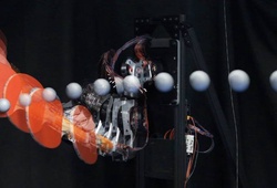 Cách robot chơi bóng bàn mở ra tương lai cho công nghệ cứu hộ thế hệ mới