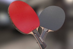 Bí mật đằng sau các loại mặt vợt bóng bàn và chiến thuật sử dụng