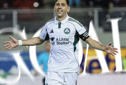 Nhận định, soi kèo Panathinaikos vs Viktoria Plzen: Cuộc chiến giành vé top 8