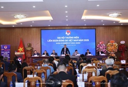 Chấm dứt tư cách thành viên VFF với 8 CLB, bãi nhiệm cựu Chủ tịch Cao Tiến Đoan