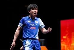 Ba giải đấu, một tháng sôi động: WTT Series 2026 khởi tranh đầy ấn tượng