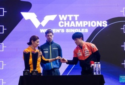 Khai mạc WTT Champions Doha 2026: Bóng bàn thế giới hội tụ tại Lusail