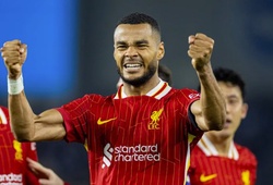 Nhận định, soi kèo Liverpool vs Brighton: Điểm tựa Anfield