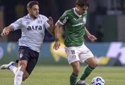 Nhận định, soi kèo Palmeiras vs Gremio: Bản lĩnh nhà Vua