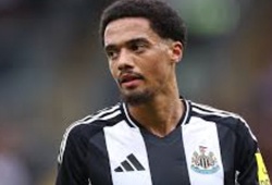 Nhận định, soi kèo Sao Paulo vs O Higgins: Khẳng định bản lĩnh