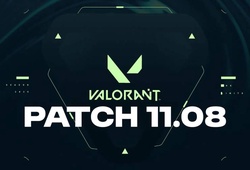 “Patch 11.08 là sai lầm”: VALORANT Esports đang đánh mất bản sắc?