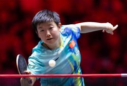 Sun Yingsha tăng tốc chuẩn bị London 2026: Trọng trách của số một thế giới