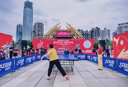 Ngày Bóng bàn Thế giới 2026: Khi thể thao kết nối cộng đồng và lan tỏa giá trị sống khỏe