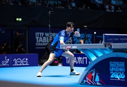 Địa chấn dồn dập tại London 2026: Bóng bàn Trung Quốc lao đao, Hàn Quốc và Thụy Điển nổi sóng
