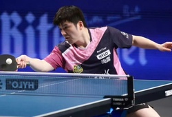 Vô địch Champions League bóng bàn châu Âu, Fan Zhendong không hài lòng về bản thân