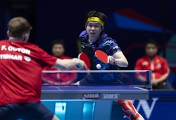 “Có Wang Chuqin là gần như hết cửa vô địch” – 5 cao thủ bóng bàn thế giới đồng loạt thừa nhận