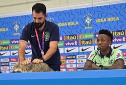 “Lời nguyền của con mèo”: giả thuyết được nhắc lại sau khi Brazil bị Na Uy loại khỏi World Cup