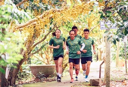 Đường chạy Mekong Delta Marathon đạt chuẩn AIMS, thành tích được sử dụng đăng ký các giải quốc tế