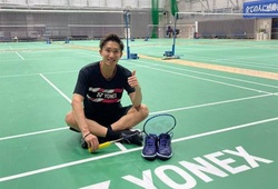 Cầu lông Đơn nam: Sự trở lại của Kento Momota được kỳ vọng sẽ thổi bùng tính cạnh tranh