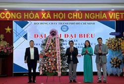 Từ SEA Games đến CLB Quốc tế: TPHCM chính thức đặt mục tiêu trở thành trung tâm bóng chày số 1 cả nước