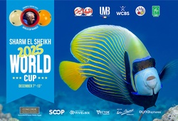 Lịch thi đấu Billiards World Cup Sharm El Sheikh năm 2025 mới nhất ngày 07/12