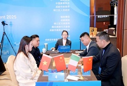 "Song tô" Cẩm Giang Bôi: Khi Cờ Tướng biến thành "vũ điệu ăn ý" trong im lặng