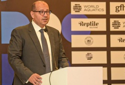 Kình ngư nhí đuối nước 10 phút không ai hay: Lãnh đạo Liên đoàn Bơi lội Ai Cập hầu tòa