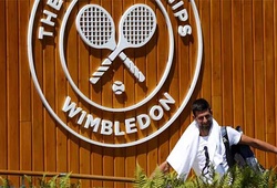 Giải tennis Wimbledon 2022: "Thần đồng" Tây Ban Nha Alcaraz rình rập Djokovic ở tứ kết?