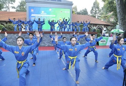 Hơn 2 triệu học sinh TP.HCM đồng diễn võ nhạc Vovinam nhằm xác lập kỷ lục thế giới