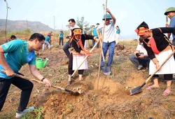BIDV Runners đồng hành trồng 2500 cây xanh tại Lai Châu dịp Tiền Phong Marathon 2023