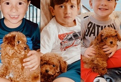  Gia đình Messi nhận nuôi thú cưng thứ hai với kích thước tí hon