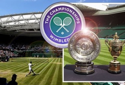 Top 8 sao tennis tiếc hận do thiếu Wimbledon 