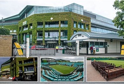 Bị COVID-19 biến thành "thị trấn ma", Wimbledon hiện trông chán tới mức nào?