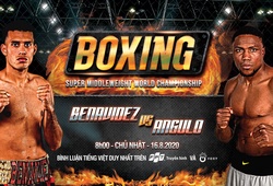 Tranh đai siêu trung WBC: Benavidez so găng cùng Roamer Angulo