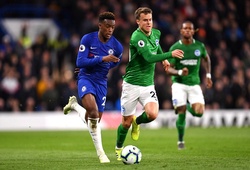 Lịch trực tiếp Bóng đá TV hôm nay 14/9: Brighton vs Chelsea