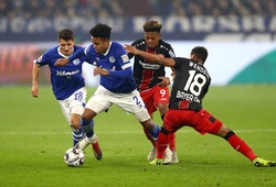 Kết quả Schalke 04 vs Bayer Leverkusen: Khách thoát thua