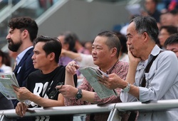 Đua ngựa cứu Hong Kong Trung Quốc thất thu nặng do mất cá cược bóng đá