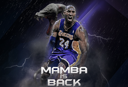 Vì sao Kobe Bryant lấy biệt danh Black Mamba: Một loài rắn cực độc?