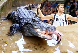 Luka Doncic đặt mục tiêu hạ gục một con... cá sấu!