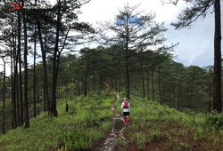 Thử thách sức chịu đựng với đường chạy Dalat Ultra Trail 2020 mùa mưa trắng trời