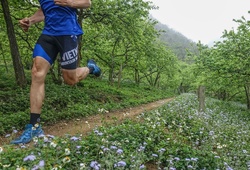 Vietnam Trail Marathon 2019: Đường chạy lãng mạn ở thiên đường du lịch Mộc Châu