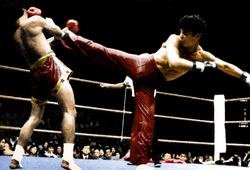 Vì sao bộ môn Kickboxing phát triển dù ít kỹ thuật hơn Muay Thái?