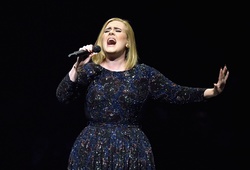 Nếu không dám ngân nốt cao của Adele, sao bạn dám bắt chước kỹ thuật của Mayweather?