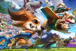 Phiên bản 9.6: Fuzz Fizz, Corgi Corki, Pretty Kitty Rengar và Meowrick cực kỳ đáng yêu