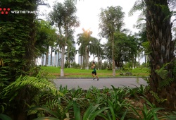 Ecopark Marathon 2019: Lạc bước giữa màu xanh