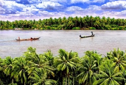 Mekong Delta Marathon: Cứu lấy Đồng bằng Sông Cửu Long