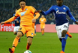 Nhận định Schalke vs Hoffenheim 01h30, 21/04 (vòng 30 VĐQG Đức)