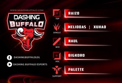 Phong Vũ Buffalo đổi tên thành Dashing Buffalo, công bố đội hình mới