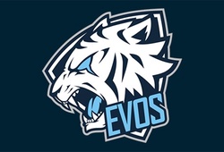 EVOS Esports ký hợp đồng với 2 HLV chuyên nghiệp người Hàn Quốc
