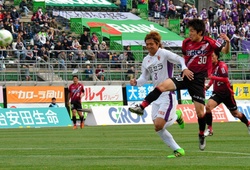 Nhận định, dự đoán Ventforet Kofu vs FC Gifu 17h00, 03/07 (Cúp Hoàng đế Nhật Bản 2019)