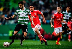 Link xem bóng đá trực tuyến Benfica vs Sporting Lisbon (02h45, 5/8)