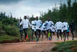 Ra mắt dàn sao dẫn tốc cho chiến dịch sub-2 marathon của Eliud Kipchoge