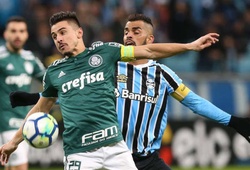 Link xem bóng đá trực tuyến Palmeiras vs Gremio (07h30, 28/8)